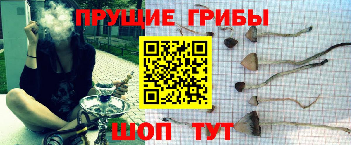 Псилоцибиновые грибы Psilocybine cubensis  Вход с VPN  Отрадный 